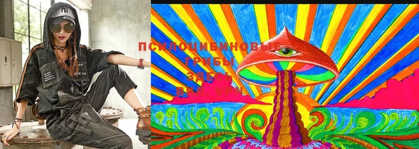 прущие крисы Алексин