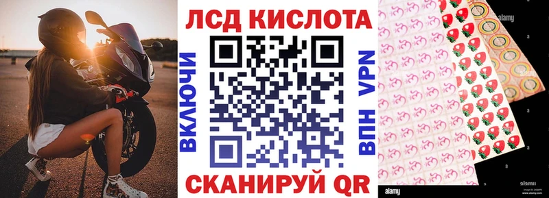 darknet формула  Суджа  Марки 25I-NBOMe 1,5мг  наркотики 